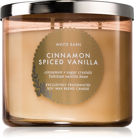 Bath & Body Works Cinnamon Spiced Vanilla scented candle