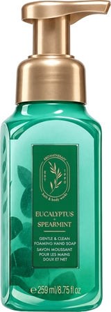 Bath & Body Works Eucalyptus Spearmint Vahutav käteseep