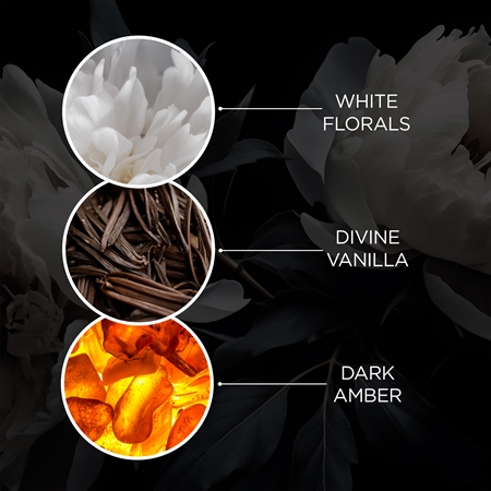 Baylis & Harding The Edit Twilight Amber perfumowany spray do ciała