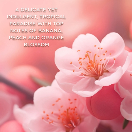 Baylis & Harding Boudoire Tropical Paradise coffret cadeau corps Banana, Peach & Orange Blossom