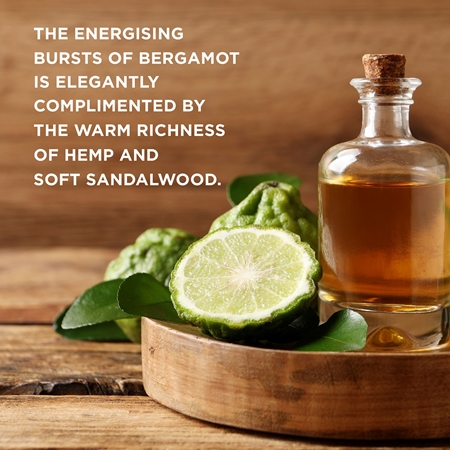 Baylis & Harding The Fuzzy Duck Bergamot, Hemp & Sandalwood σετ δώρου καλλυντικό τσαντάκι για άντρες