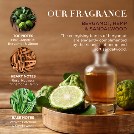 Baylis & Harding The Fuzzy Duck Bergamot, Hemp & Sandalwood dovanų rinkinys vyrams