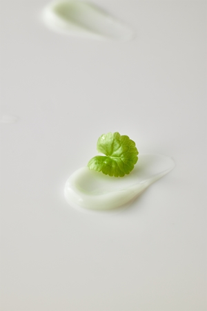 Beauty of Joseon Light On Serum Centella + Vita C озаряващ серум с успокояващ ефект