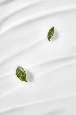 Benton Deep Green Tea Moisturizing Milk with green tea