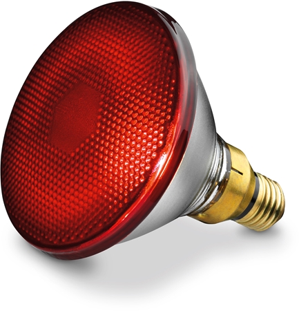 BEURER IL 21 infračervená lampa