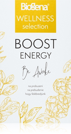 Biogena Wellness selection Boost energy portionierter Tee zur Erhaltung von Energie und kognitiver Leistungsfähigkeit