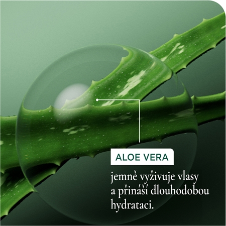 Biolage Essentials HydraSource hloubková maska pro suché vlasy
