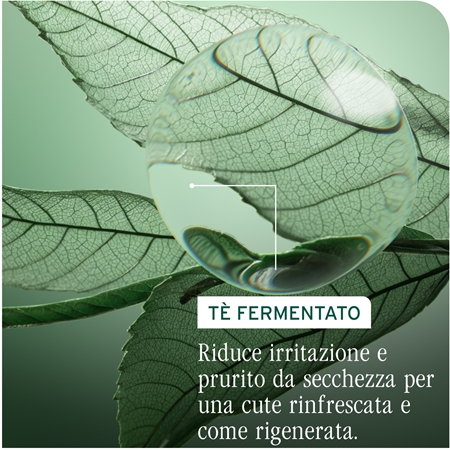 Biolage ScalpSync shampoo detergente