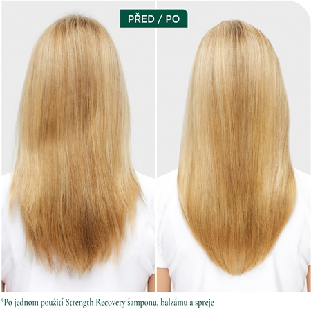 Biolage Strength Recovery posilující kondicionér
