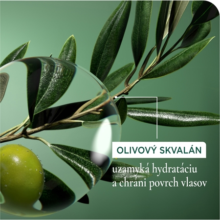 Biolage Strength Recovery posilňujúci šampón