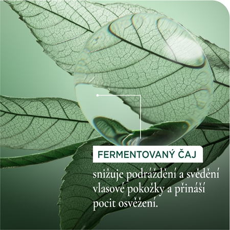 Biolage ScalpSync šampon proti lupům