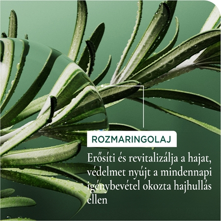 Biolage Full Rescue célzott ápolás hajhullás ellen