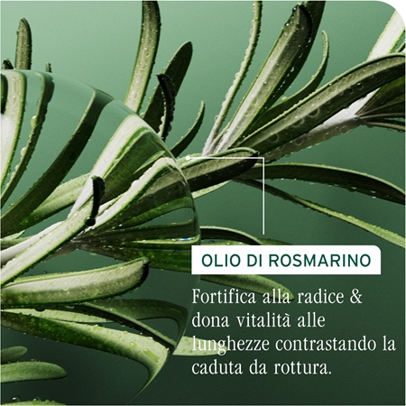 Biolage Full Rescue trattamento mirato anticaduta dei capelli