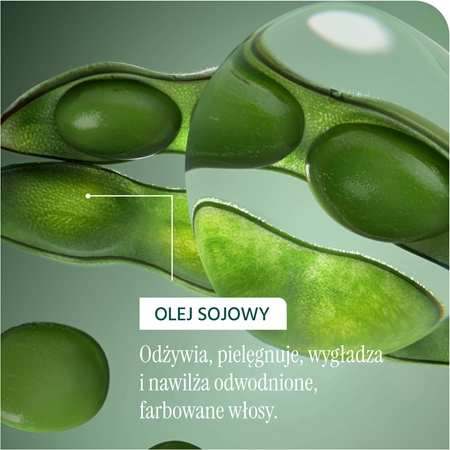 Biolage Essentials Refill szampon do włosów farbowanych
