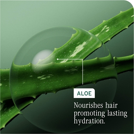 Biolage Essentials HydraSource Refill Shampoo für trockenes Haar