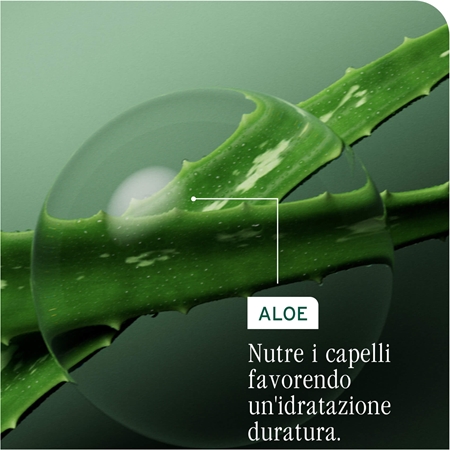 Biolage Essentials HydraSource Refill shampoo per capelli secchi