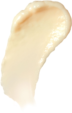 Biolage R.A.W. Nourish maitinamasis kondicionierius sausiems plaukams