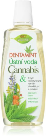 Bione Cosmetics Dentamint Cannabis Mundspülung