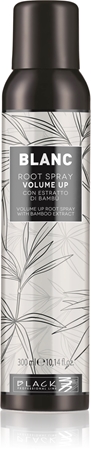 Black Professional Line Line Volume Up Root Spray spray pentru volum pentru par fin