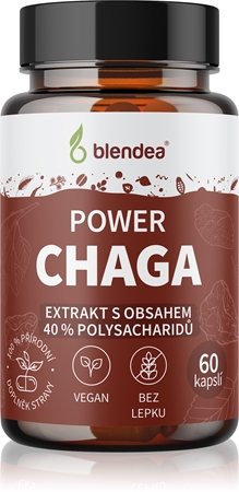 Blendea Power Chaga kapsle s antioxidačním účinkem