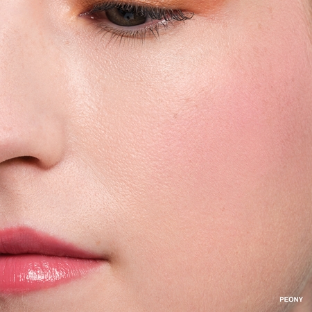 Bobbi Brown Pot Rouge Velvet Matte Matējošs krēmveida vaigu sārtums