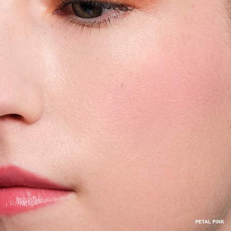 Bobbi Brown Pot Rouge Velvet Matte Matējošs krēmveida vaigu sārtums