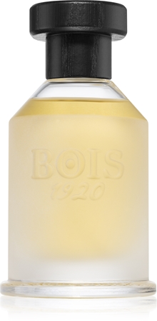 Bois 1920 Vetiver Ambrato toaletní voda unisex