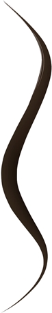 Bourjois Liner Pinceau Tubing Eyeliner