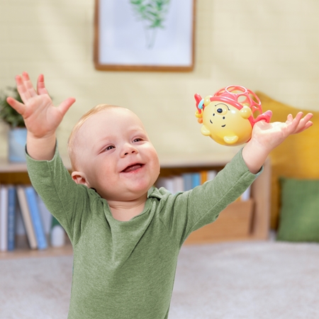 Bright Starts Winnie the Pooh Jingle & Shake Oball rangle