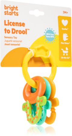 Bright Starts Teether & Rattle hochet avec anneau de dentition