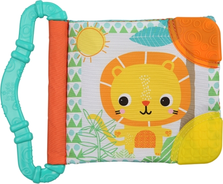 Bright Starts Teether & Rattle mordedor