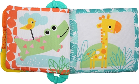 Bright Starts Teether & Rattle mordedor