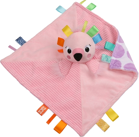 Bright Starts Cuddle'n Tags snuggle blanket