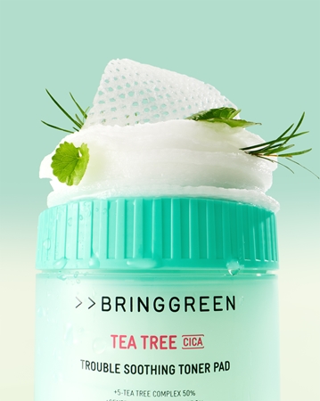 BRINGGREEN Tea Tree Cica Trouble Soothing Toner Pad patchs tonifiants avec effets apaisants