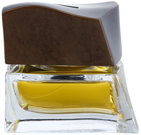 Brioni Brioni Eau de Toilette eau de toilette para homens