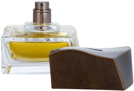 Brioni Brioni Eau de Toilette eau de toilette para homens