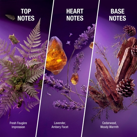 Bruno Banani Fiery Lavender Värskendav dušigeel kolm-ühes