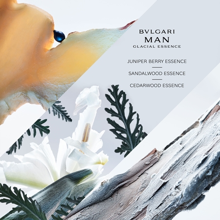 BVLGARI Bvlgari Man Glacial Essence parfumska voda za moške