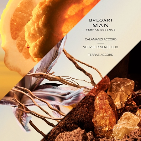 BVLGARI Bvlgari Man Terrae Essence Eau de Parfum für Herren