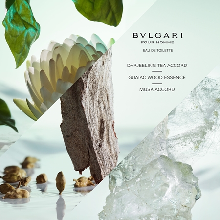 BVLGARI Pour Homme Eau de Toilette pour homme