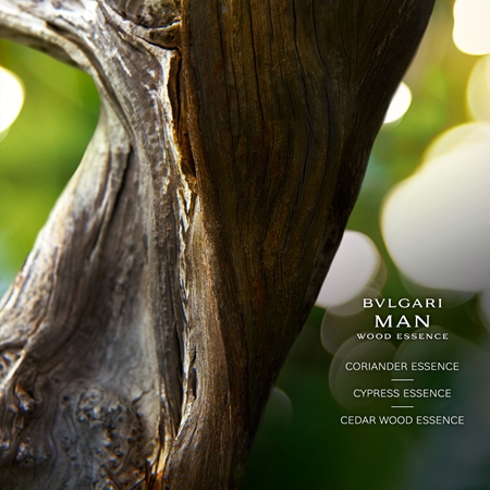BVLGARI Bvlgari Man Wood Essence Dāvanu komplekts vīriešiem