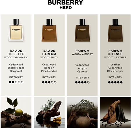 Burberry Hero toaletna voda polnilna za moške