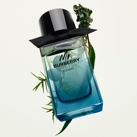 Burberry Mr. Burberry Element Eau de Toilette pour homme