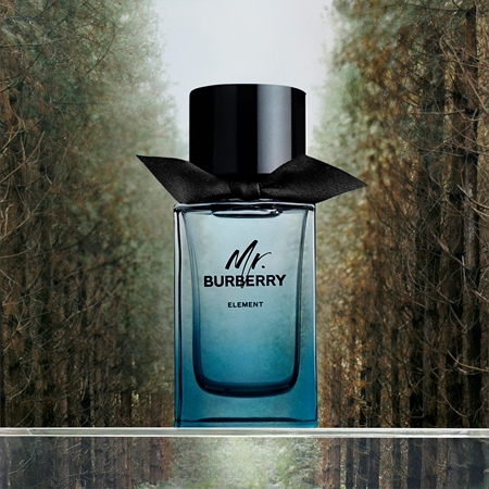 Burberry Mr. Burberry Element Eau de Toilette for men notino.ie