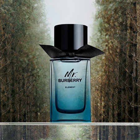 Burberry Mr. Burberry Element Eau de Toilette pour homme