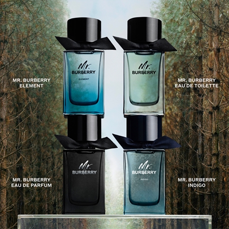 Burberry Mr. Burberry Element Eau de Toilette pour homme