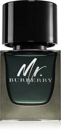 Burberry Mr. Burberry parfémovaná voda pro muže
