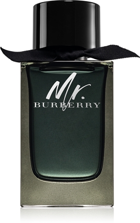 Burberry Mr. Burberry parfémovaná voda pro muže