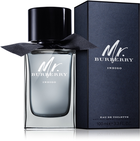 Mr burberry indigo 100ml on sale