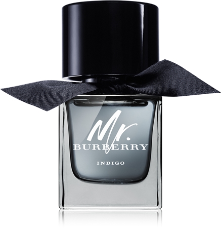 Burberry Mr. Burberry Indigo Eau de Toilette pour homme